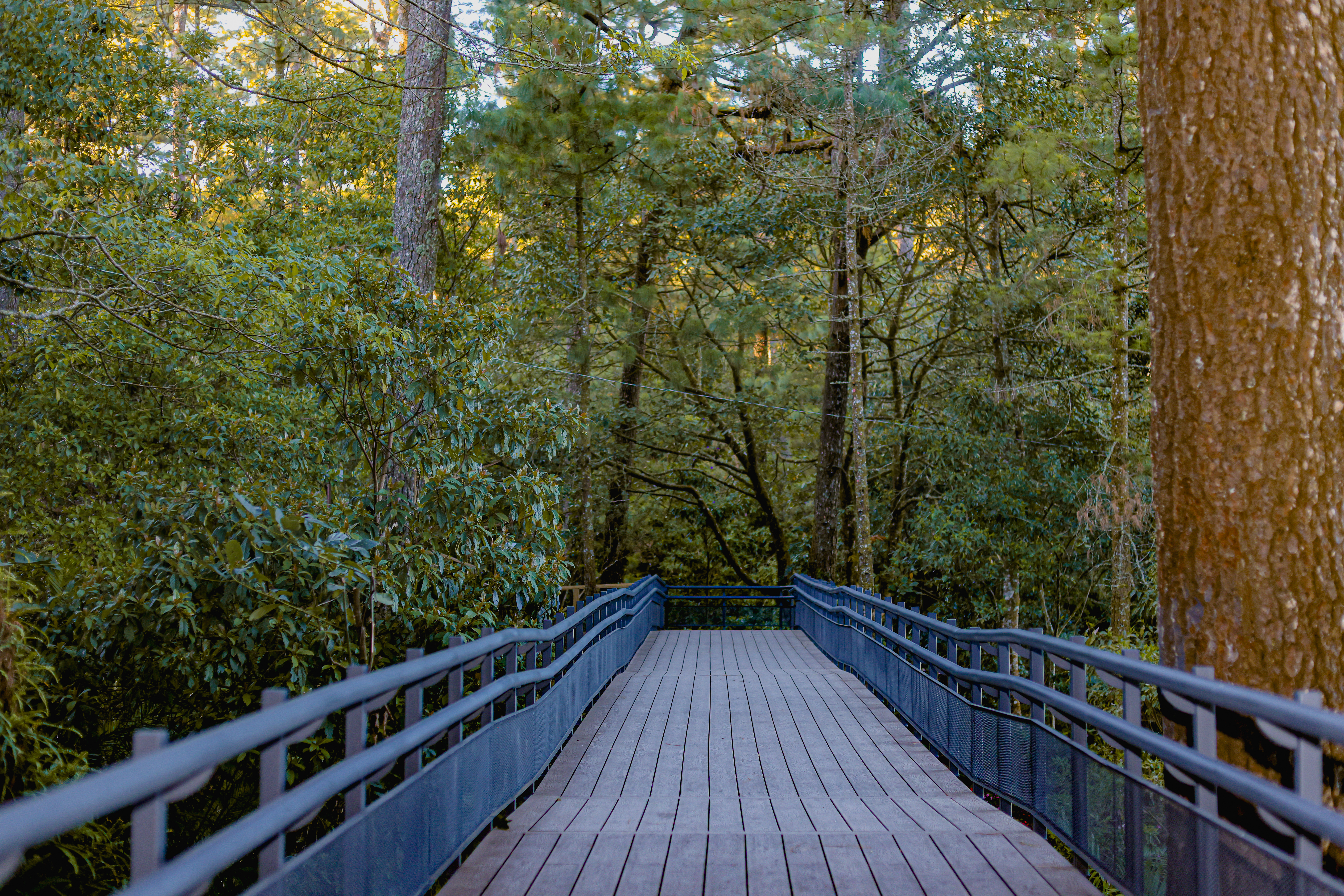 Photo from Parque Nacional El Boquerón